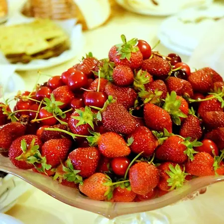 Premier - Center, Panorama View Hotel 4*