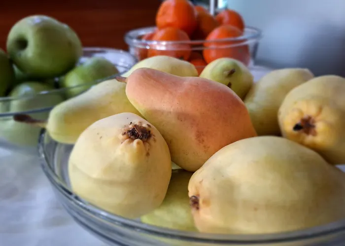 Premier - Center, Panorama View Hotel